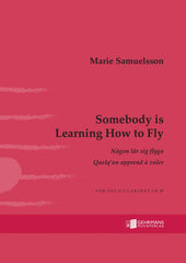 Somebody is Learning How to Fly