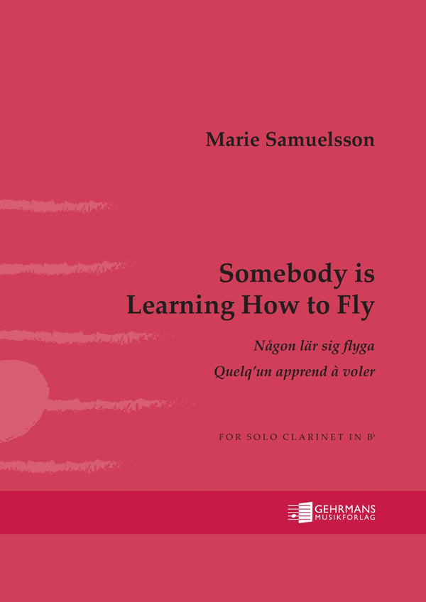 Somebody is Learning How to Fly